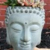 Buddha Head Planter