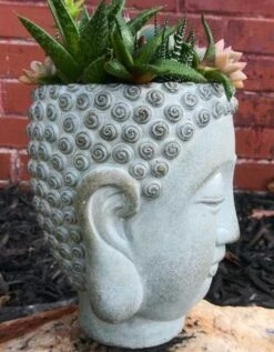 Buddha Head Planter -Bird Products Shop Buddha Head Planter side view