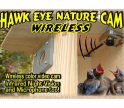 Bird Products Shop 26 Hawk-Eye Wireless Spy Camera For Birdwatching