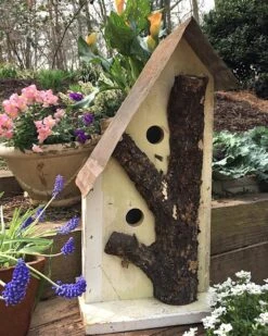 Rustic Log Front Birdhouses- 2 Sizes -Bird Products Shop Log Front Birdhouse 2
