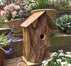 Rustic Log Front Birdhouses- 2 Sizes -Bird Products Shop Log Front Birdhouse 3