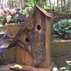 Rustic Log Front Birdhouses- 2 Sizes -Bird Products Shop Log Front Birdhouse 7