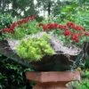 Patina Copper Planter Or Birdbath