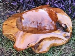 Decorative Teak Wood Bowls -Bird Products Shop Teak Bowl H