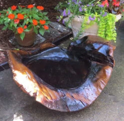 Natural Teak Ground Bird Bath -Bird Products Shop extra large teak ground birdbath