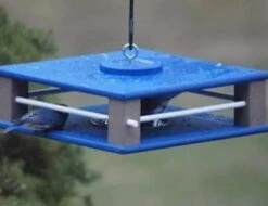 Gilbertson Hanging Bluebird Feeder 7 Gilbertson Hanging Bluebird Feeder -Bird Products Shop hanging bluebird feeder