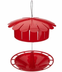 Humm-Bug Protein Hummingbird Feeder -Bird Products Shop hum bug hummingbird feeder