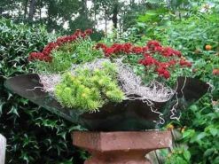 Free-Form Copper Bird Bath/Planter -Bird Products Shop planter7 2 f4725018 90ac 432e 873a 608ac2feb105