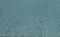 Bird Products Shop -Bird Products Shop verdi roof