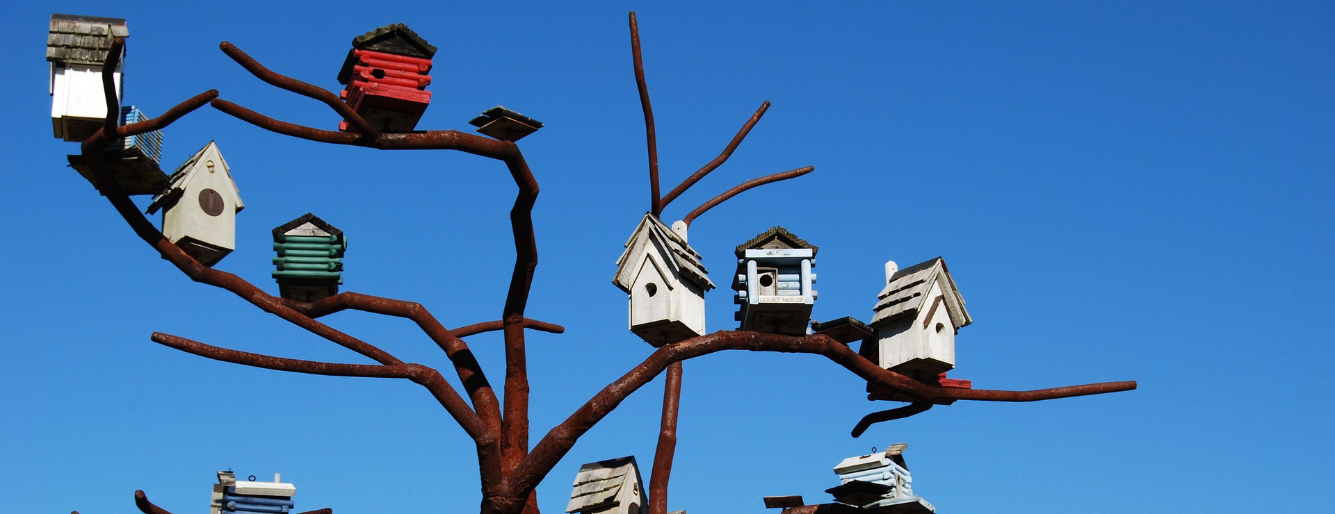 Bird Products Shop 1 Bird Products Shop -Bird Products Shop bird houses 1046146 1920